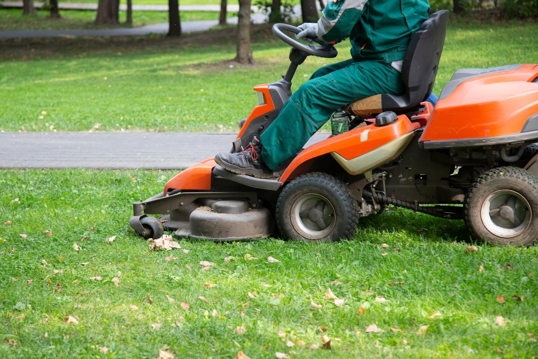 Petrol lawn mower.