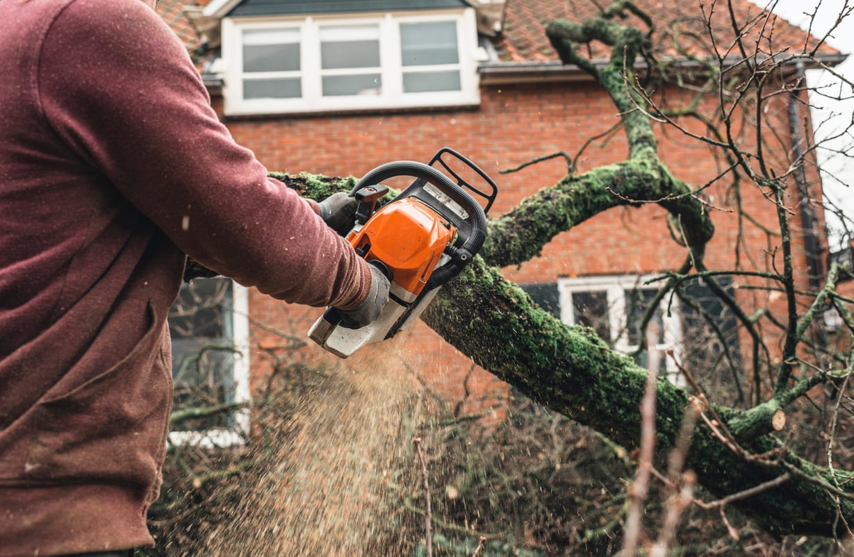 Arborist Chainsawing Pieces of Wood